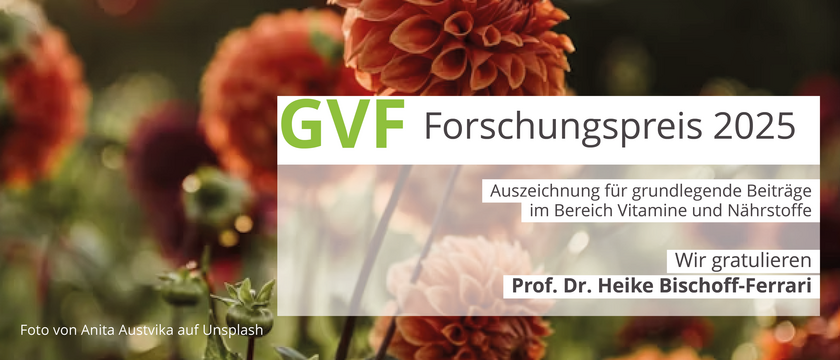 GVF Forschungspreis 2025